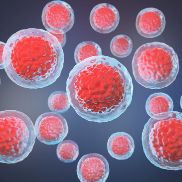 Slider image (3) CellCenter - Stem Cell Therapy in Bratislava and Malacky, Slovakia